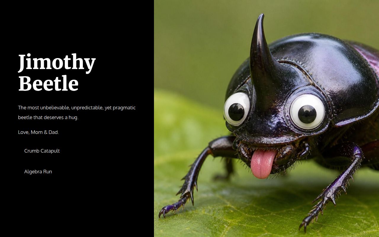 Jimothy Beetle
